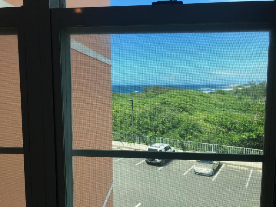 Haudimar Ph Beachfront Apt 4Br/3Bath Isabela Kültér fotó