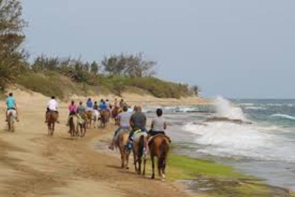 Haudimar Ph Beachfront Apt 4Br/3Bath Isabela Kültér fotó